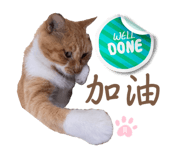 622350190