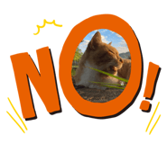 622350195