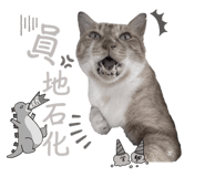 622350202