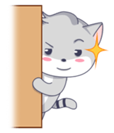 6223844