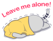 6223854