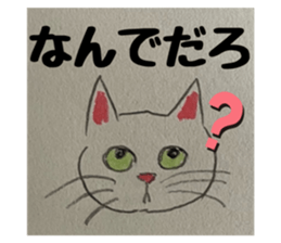 622386897