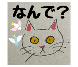 622386904