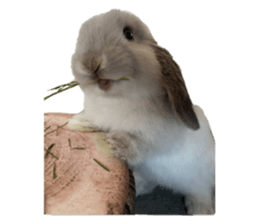 622387489