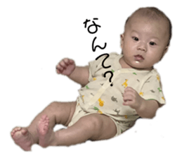 622388031