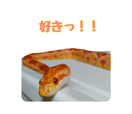 622407238