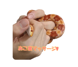 622407253