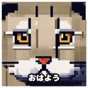 622415934