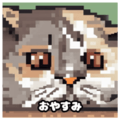 622415936