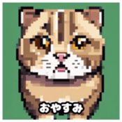 622415937