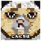 622415939