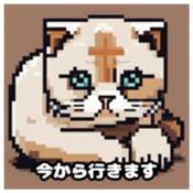 622415942