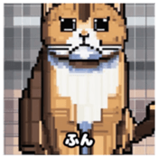 622415948