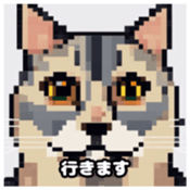 622415951