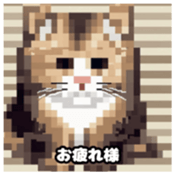 622415956