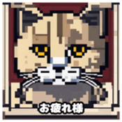 622415957
