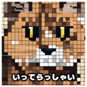 622415960