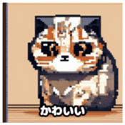 622415962