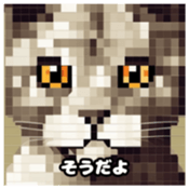 622415964