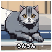 622415965