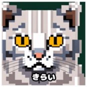 622415971
