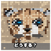 622415972