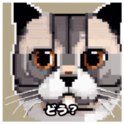 622415973
