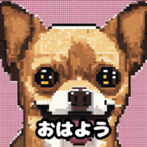 622419320