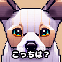622419342