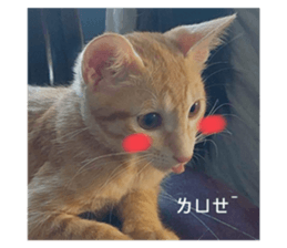 622422050