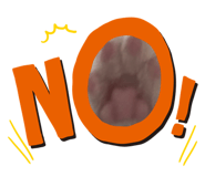 622425656