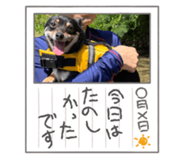 622436558