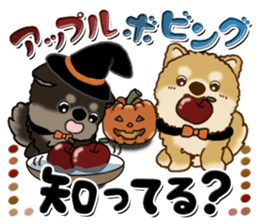 622467042