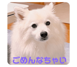622468545