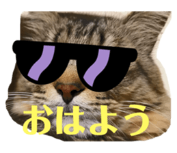 622476814