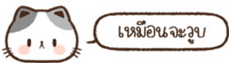 622488591