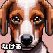 622505743