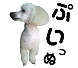 622506716
