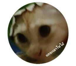 622521111