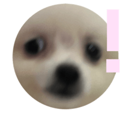 622532751