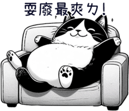 622623950