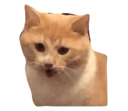 622624927