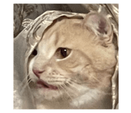 622624934