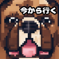 622655597