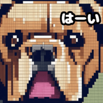 622655600