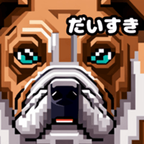 622655620