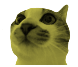 622668514