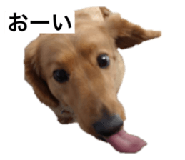 622679633