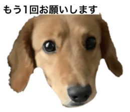 622679644