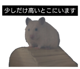 622680625